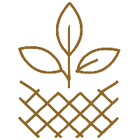 Environmental Sustainability